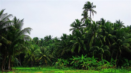 毕节干锅香辣虾