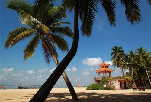 莘罗煮艺石锅拌饭