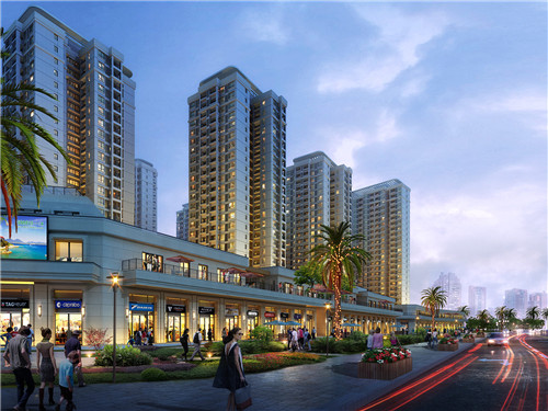 鱼头大大鱼头泡饭