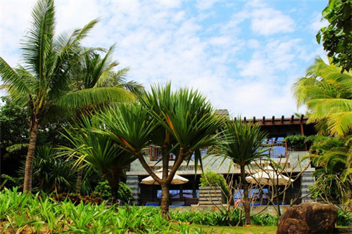 阳光嫂衣物护理