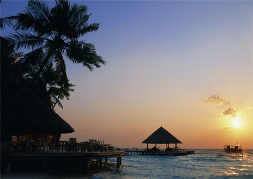 鱼密天使烤鱼饭