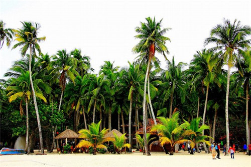 加盟极致酱卤在三台县开店什么地段好，在三台县加盟卤味熟食店哪些品牌回本快