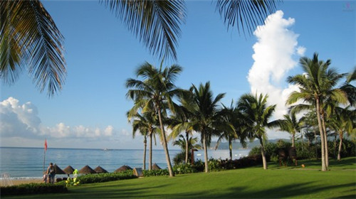 茄瓜炒西红柿怎么炒（茄瓜炒西红柿怎么炒好吃）