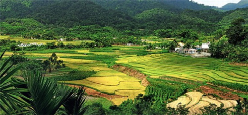 日泽村旅游攻略（日泽是什么意思）