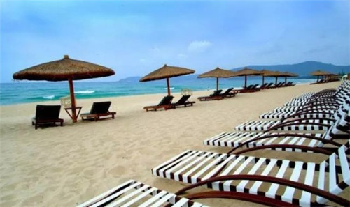 犁牛之子的近义词（梨牛之子猜一动物）