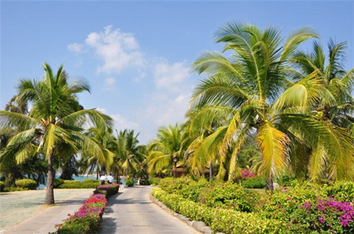 驼背矫正带什么品牌比较好（驼背矫正带什么牌子好）